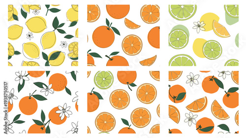 Collection of six vibrant seamless patterns showcasing an assortment of fresh citrus fruits, including lemons, oranges, and limes with blossoms.