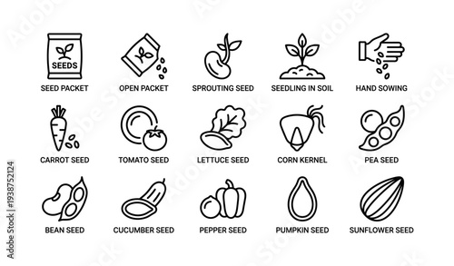 Illustrated seed icons: carrot, tomato, lettuce, corn, pea, bean, cucumber, pepper, pumpkin, sunflower