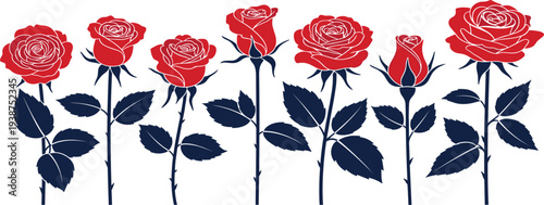 Red Rose Flower Collection with Different Blooming Stages and Leaves Illustration for Floral Design, Romantic Decoration, Botanical Art, and Valentine Graphics