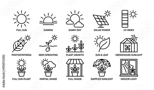 Icons illustrating plant care in various sunlight conditions