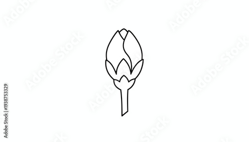 Simple Line Art Drawing of a Flower Bud, Minimalist Botanical Illustration