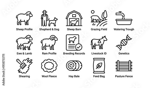 Farm livestock icons: sheep, shepherd, barn, grazing, genetics, shearing, wool, hay, feed