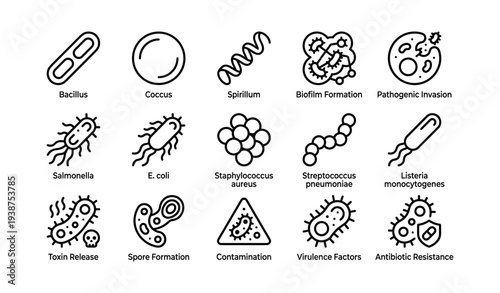 Illustration of bacteria types and structures with pathogenic elements