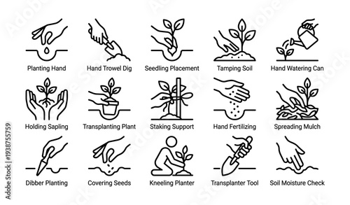 Gardening techniques illustrated: planting, maintenance, and tools guide
