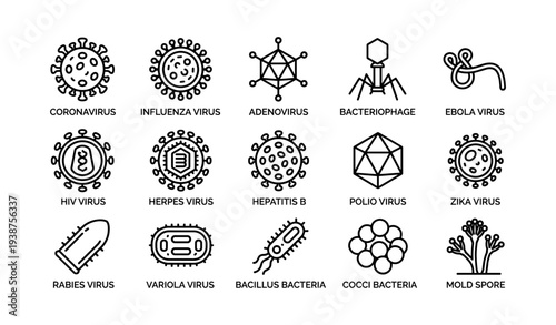 Types of viruses and bacteria: icons of coronavirus, influenza, ebola, hiv, herpes, and more