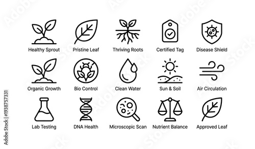 Healthy plant growth icons for sustainable agriculture concepts