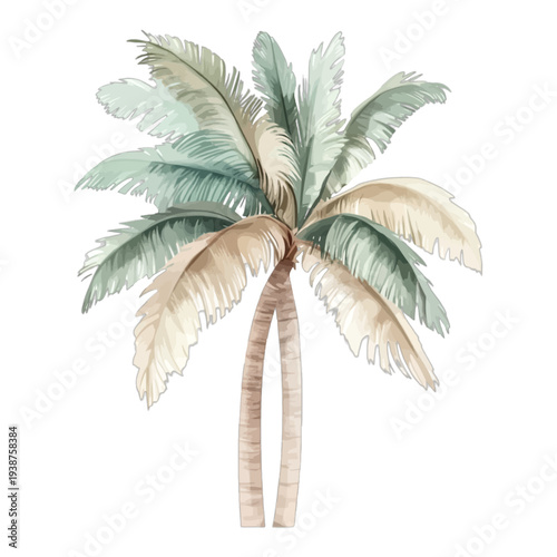 Watercolor illustration of a tropical palm tree with sage green and beige fronds, boho botanical coconut tree clipart isolated on white background