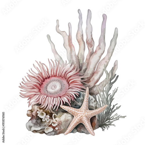 Watercolor Underwater Coral Reef with Pink Sea Anemone and Starfish