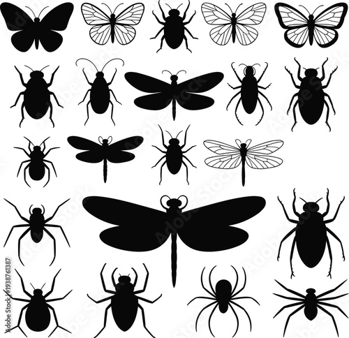 Insect silhouettes collection, butterflies, dragonflies, beetles, spiders, diverse bug species illustration, entomology design