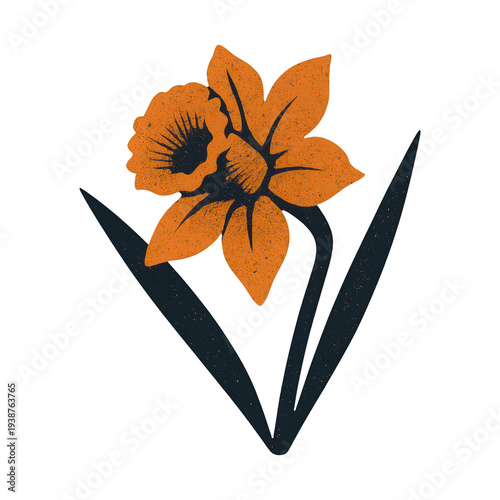 PNG Vintage orange daffodil illustration