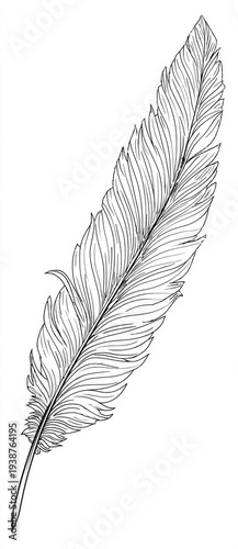 A detailed black and white sketch of a single, elegant feather, with fine lines