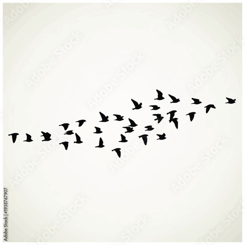 Flock of Birds Flying in Formation 1.