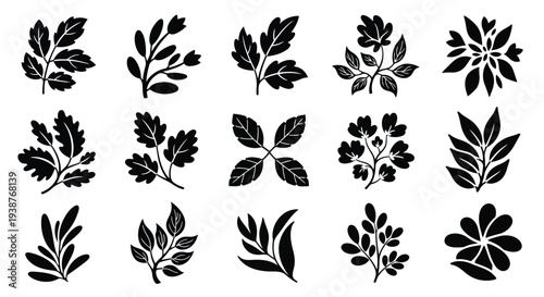 A collection of various leaf patterns showcasing nature's intricate designs and diversity.