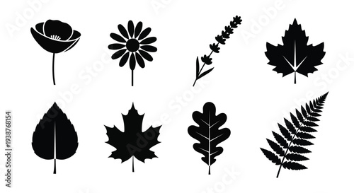 A collection of various leaf shapes and patterns in black and white