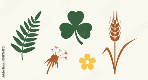 A collection of various plant leaves and seeds showcasing nature's diversity