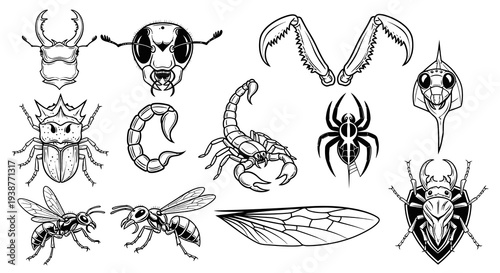 Detailed Insect and Spider Illustration Set for Mascot or Tattoo
