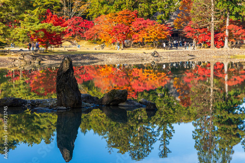 日本の風景・秋　岩手県平泉町　紅葉の世界遺産毛越寺　浄土庭園