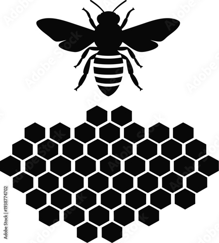 bee and honey vector