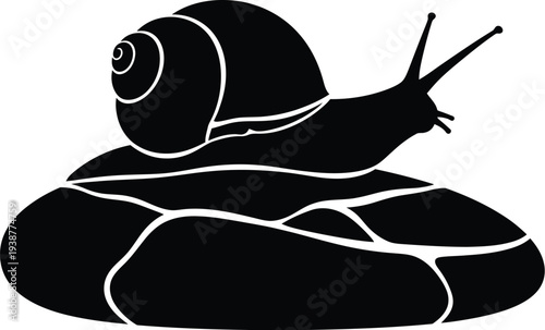 snail on a white background