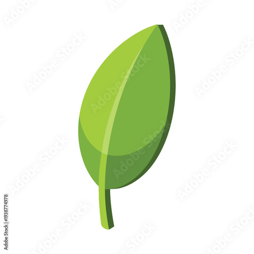 A single green leaf with a stem stands isolated against a white background.