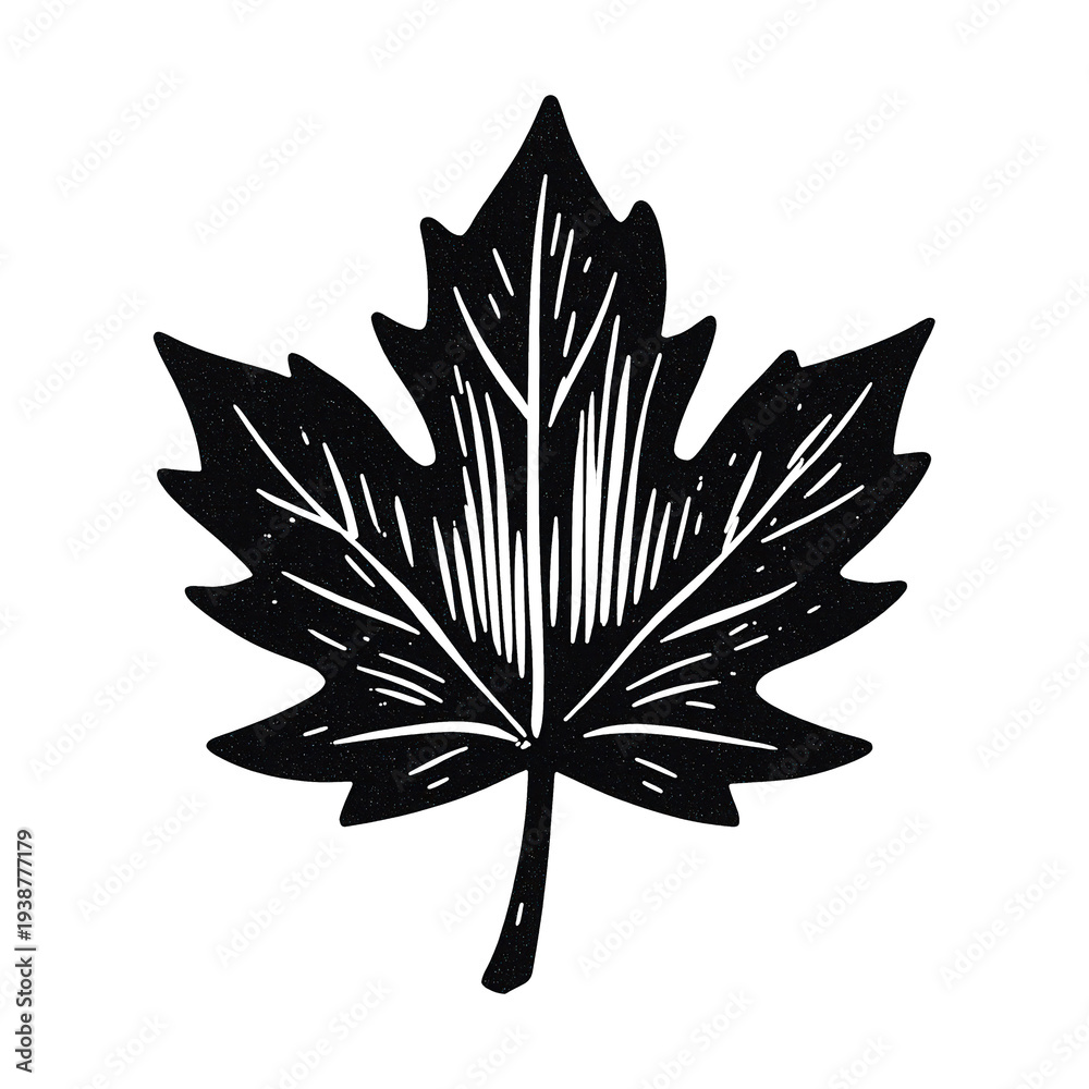 Fototapeta premium PNG Black maple leaf silhouette illustration.