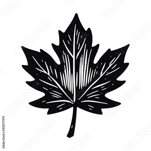 PNG Black maple leaf silhouette illustration.