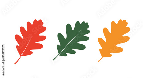 Three oak leaves in bright red green and yellow colors are arranged in a row against a white background to represent autumn seasonal changes.