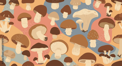 Seamless pattern of various edible and forest mushrooms on colorful abstract background for autumn and nature theme projects.