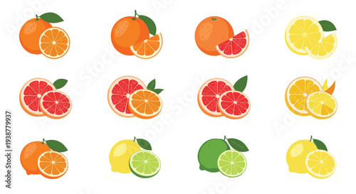 Collection of various whole and sliced citrus fruits including oranges, lemons, limes, and grapefruits with green leaves on white background.