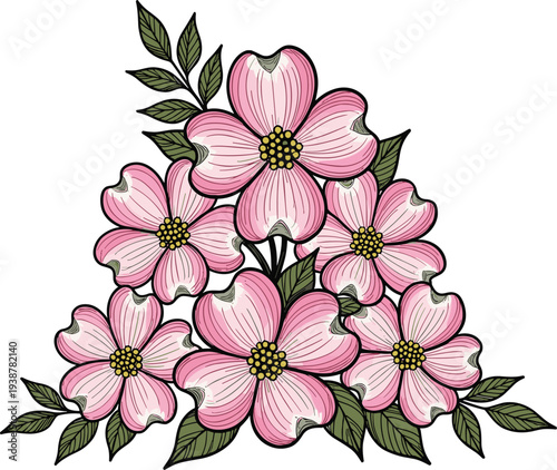 Pink dogwood flower bouquet illustration with green leaves isolated on white background botanical floral arrangement vintage style decorative design for print and branding