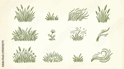 A collection of hand-drawn illustrations depicting various types of grass and wind effects, presented in a vintage, sketch-like style on a textured background.