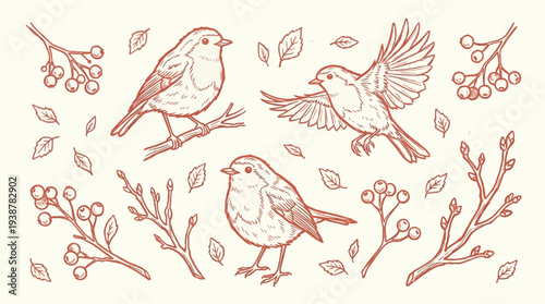 A charming sketch of three robins perched on branches and in flight, surrounded by autumn leaves and berries, rendered in a warm, earthy tone.