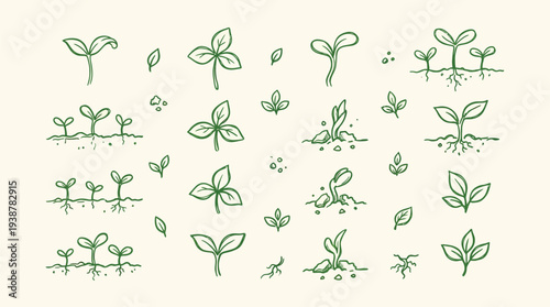 A collection of hand-drawn green seedling illustrations showing various stages of plant growth from germination to young sprouts emerging from soil.