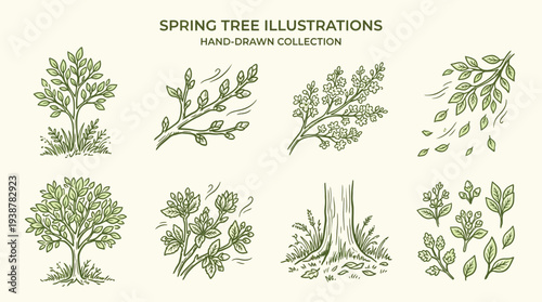 Collection of hand-drawn spring tree illustrations featuring various stages of growth and foliage details.