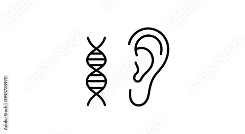 Exploring the intricate connection between genetic code and the human auditory system