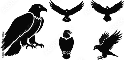Collection of eagle silhouettes in various poses