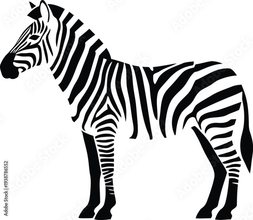 A black and white illustration of a zebra standing on a plain background