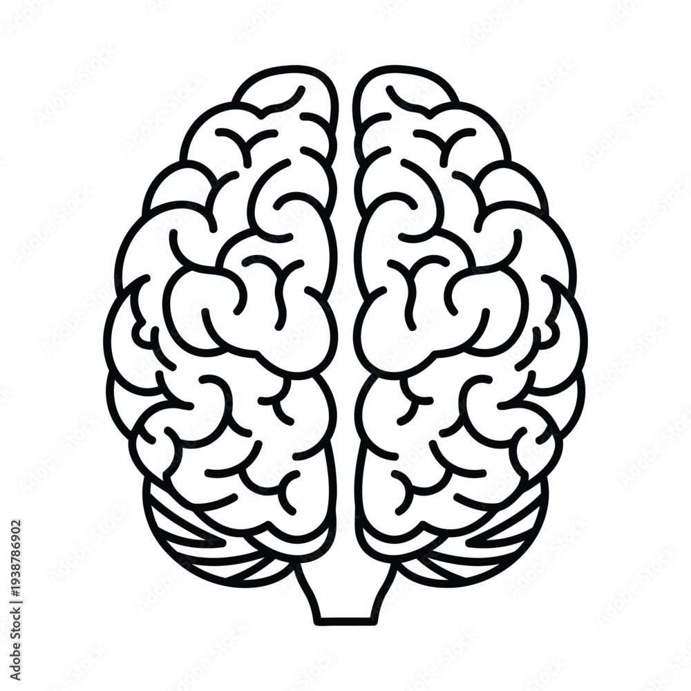 Fototapeta premium Human Brain Illustration in Black and White
