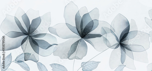 Floral art banner with blue transparent flowers in a watercolor style. Botanical banner for decor, prints, posters, wallpaper, textiles, and interior design.