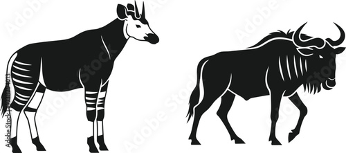 Geometric shapes and abstract design elements in black white red and blue