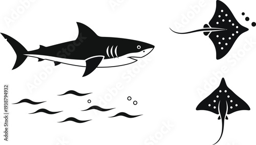 Marine life illustration of shark and ray swimming with school of fish