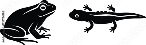 Silhouette of a frog and tadpole in black and white