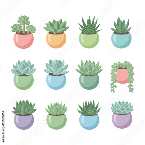A collection of twelve diverse potted succulents in pastel-colored round pots, arranged in a grid against a clean white background, showcasing a variety of green and blue hues with a cheerful