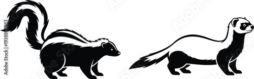 Two skunks standing in profile against a white background