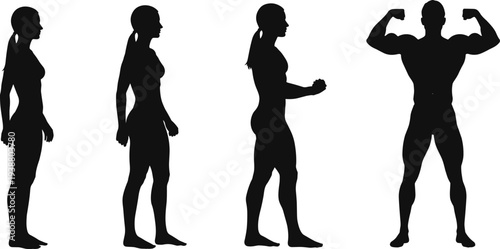 Fitness transformation silhouettes female to male flex, bodybuilding and wellness theme, flat vector illustration for health and exercise concepts