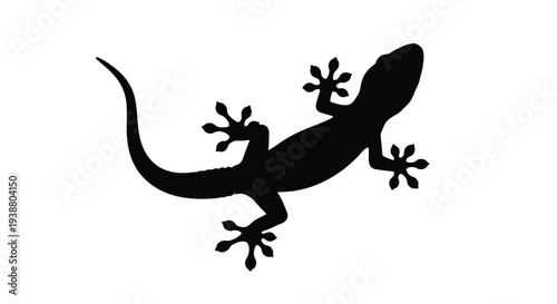 Detailed black silhouette vector graphic illustration of a climbing gecko lizard detailed with suction cup feet against a white background