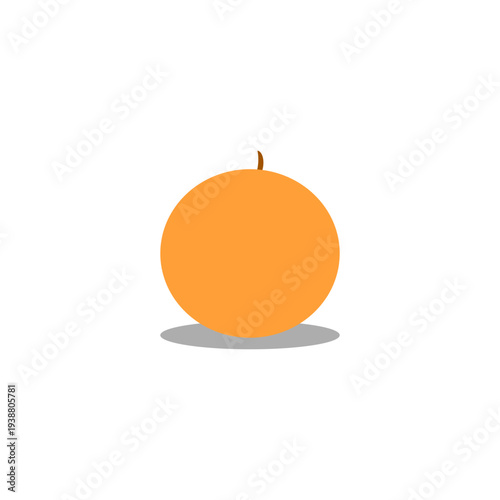 Minimalist orange fruit vector illustration in flat style. Simple round orange with a small stem and soft shadow isolated on neutral background. Clean and modern fruit icon perfect for healthy food co