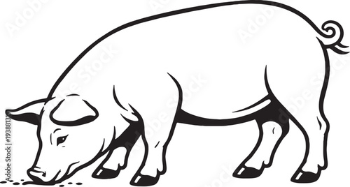Pig Eating From Ground Side Pose Black and White Line Art Illustration