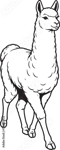 Llama Three Quarter Walking Black and White Line Art Farm Animal Vector