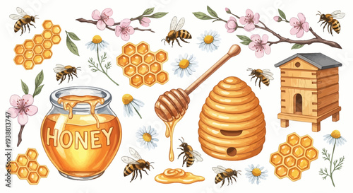 Watercolor illustration of bees honeycomb honey jar and blooming flowers